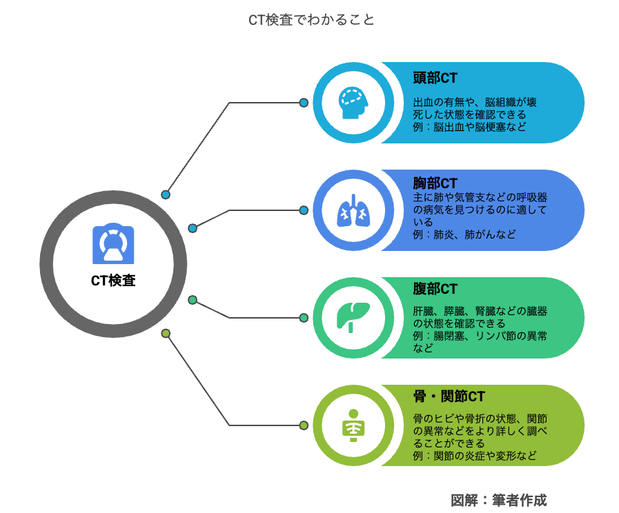 CT検査でわかること：部位別の診断可能な疾患
