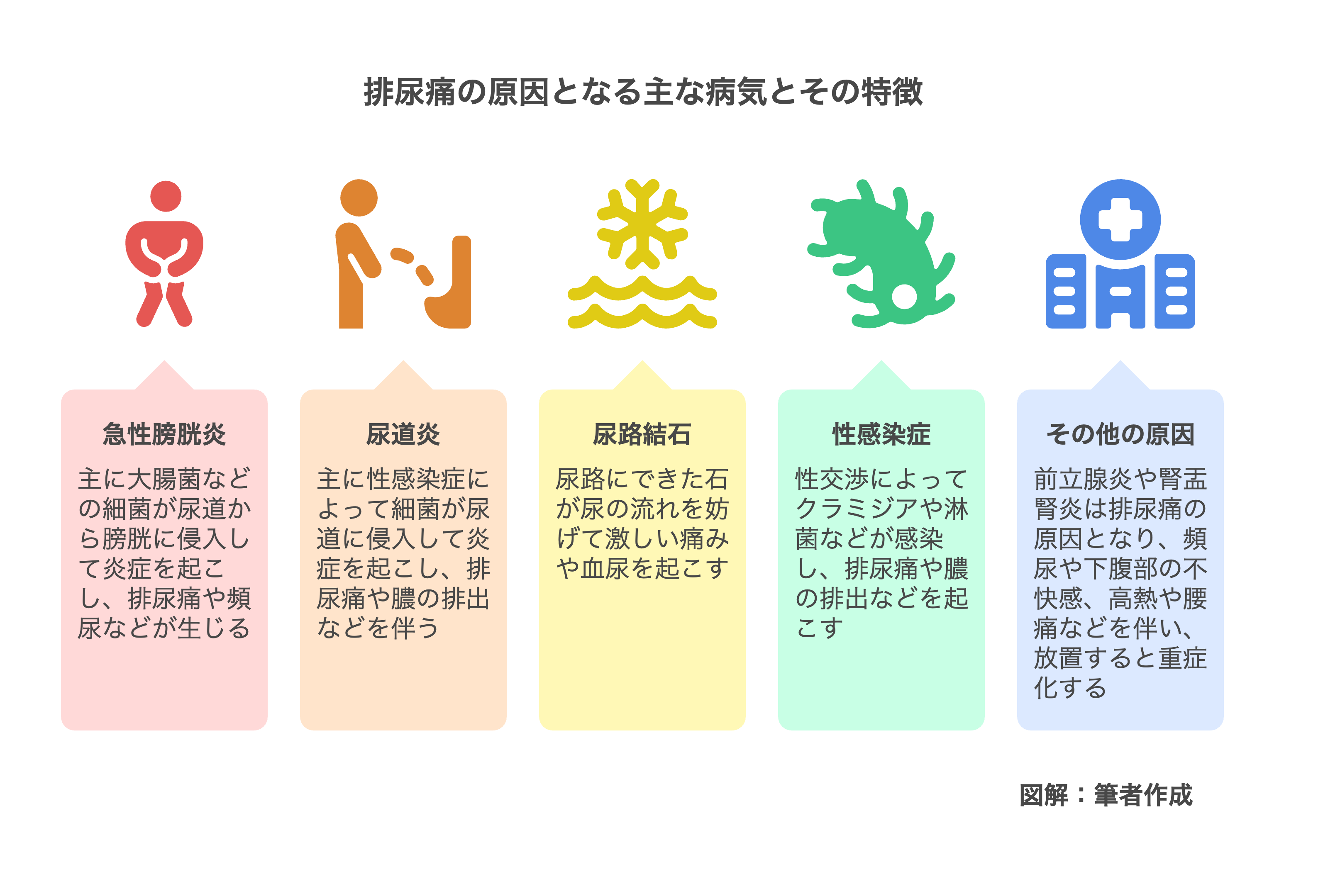 1.排尿痛の原因となる主な病気とその特徴