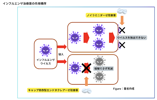 1.インフルエンザ治療薬の作用順序